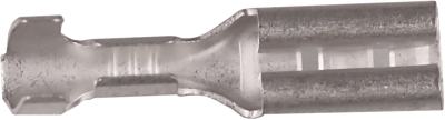 B1003FLS8