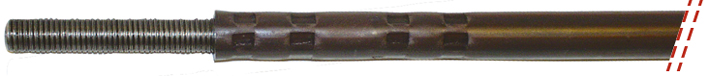 FS31